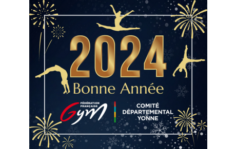 🌟✨ Meilleurs Vœux 2024  ! ✨🌟